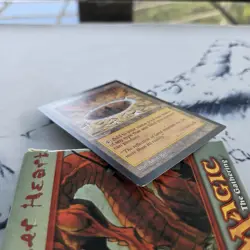 MTG Reflecting Pool - Tempest LP - Image 2