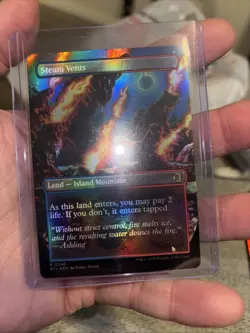 Steam Vents FOIL Borderless 348 Lorwyn Eclipsed ECL MTG Rare Land - Image 3