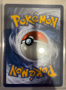 Pidgeot ex 225/197 Obsidian Flames Special Illustration Rare Pokemon Card - NM⭐⭐ - Image 2