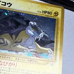 Raikou No.243 Neo Revelation Holo Rare 2000 Pokemon Card Japanese - Image 5