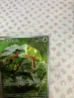 Caterpie - 172/165 - Scarlet & Violet 151 Illustration Rare IR NM - Pokemon TCG - Image 4