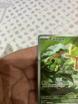 Caterpie - 172/165 - Scarlet & Violet 151 Illustration Rare IR NM - Pokemon TCG - Image 5