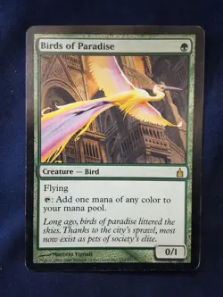 Birds Of Paradise Ravnica Magic the Gathering MP - Image 1