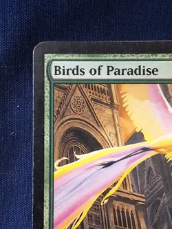 Birds Of Paradise Ravnica Magic the Gathering MP - Image 2
