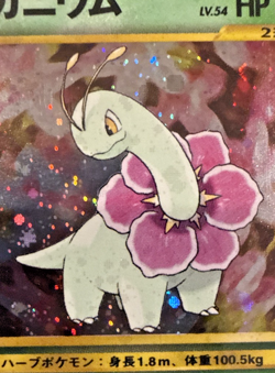 CGC 10 PRISTINE Meganium 1999 Japanese Pokemon Neo Premium File Promo Holo #154 - Image 4