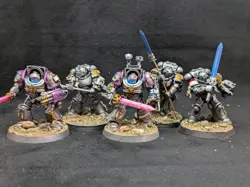 240 Paladins Primaris Scale Custom Grey Knights Well Painted Space Marines - Image 1