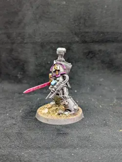 240 Paladins Primaris Scale Custom Grey Knights Well Painted Space Marines - Image 5