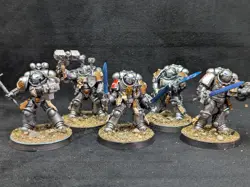 239 Paladins Primaris Scale Custom Grey Knights Well Painted Space Marines - Image 1