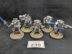 239 Paladins Primaris Scale Custom Grey Knights Well Painted Space Marines - Image 2