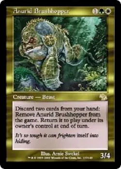 MTG magic 1x Anurid Brushhopper (M/NM) Judgment - Image 1