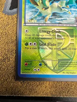 Pokemon Leafeon 11/116 City Championships STAFF Promo Holofoil Lightly Played - Image 5