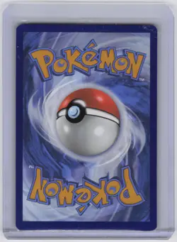 Tornadus - Promo SV: Scarlet & Violet Promo Cards 210 NM - Image 2