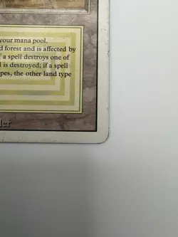 MTG Magic the Gathering Savannah Revised Edition Rare Dual Land - Image 5