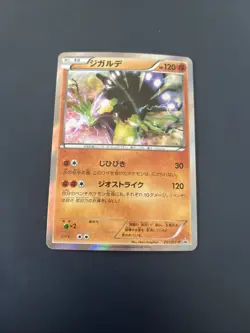 Japanese - Promo - Zygarde - 251/XY-P - Holo - Rare - Pokemon Card - XY - Image 1