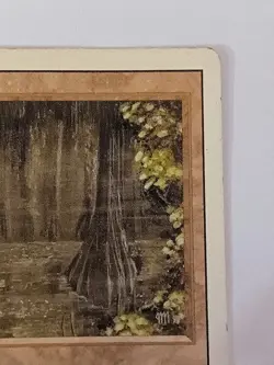 Magic the Gathering 1994 Bayou Revised Edition Rare Dual Land English Damaged - Image 3