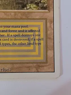 Magic the Gathering 1994 Bayou Revised Edition Rare Dual Land English Damaged - Image 4