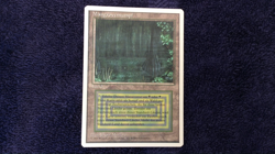 BAYOU Dual Land 1994 Revised FWB German MTG Unplayed NM - Image 2