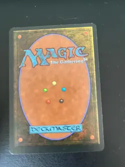 MTG SHIELD WALL EXC MURO DI SCUDI IT_LG ITALIAN VINTAGE MAGIC - Image 2