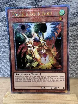 Droll & Lock Bird RA02-EN006 Quarter Century Secret Rare QCR NM - Image 1