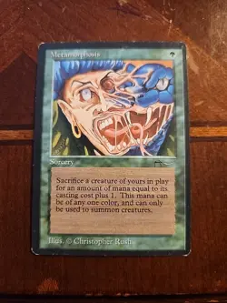 MTG Metamorphosis - Arabian Nights - LP - Image 1