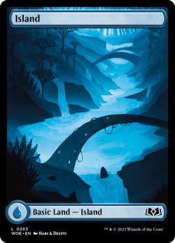x1 Island WOE MTG 263 FULL ART BASIC LAND M/NM 1x - Image 1