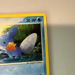 2004 Pokemon Card Mudkip Black Star Promo 018 Holo TCG NM/LP+ - Image 3