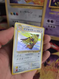 Pokemon Karte Card Tauboss Pidgeot Jungle Dschungel 1997 Holo Wotc japanese NM - Image 3