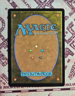 MTG Foil Selfless Safewright Showcase Lorwyn Eclipsed Magic the Gathering NM - Image 2