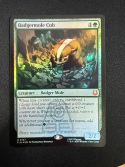 Badgermole Cub (FOIL) - Avatar (MTG) NM - Image 1