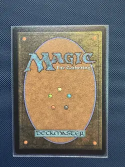 MTG Arwen, Mortal Queen (Borderless Poster) Foil NM Universes Beyond LTR - Image 5