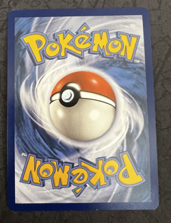 Pokemon TCG English Shiny Fidough 069 Black Star Promo - Image 2