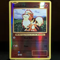 Growlithe 17/108 LP/NM Reverse Holo XY Evolutions Foil Pokemon Card puppy dog - Image 1