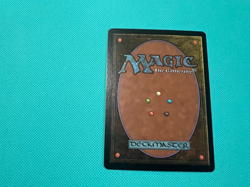Foil - Lovisa Coldeyes - Coldsnap - MTG - Magic the Gathering - Foil - LP - Image 4
