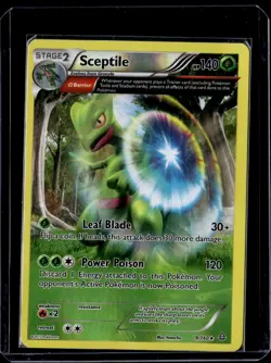 Sceptile 9/160 Holo Rare XY - Primal Clash 2015 (MP) / Pokemon TCG - Image 1