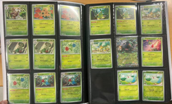 Pokemon Temporal Forces incomplete Master Set with Eevee binder - Image 4