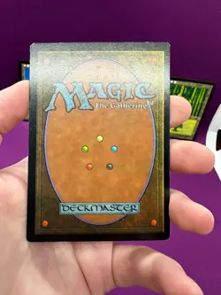 MTG Alternate Art Basic Land Set of 5 Portal 1 Simplified Chinese *CCGHouse* - Image 4