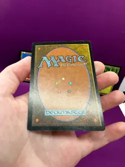 MTG Alternate Art Basic Land Set of 5 Portal 1 Simplified Chinese *CCGHouse* - Image 5