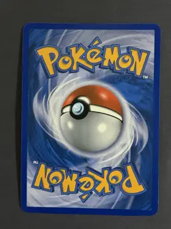 Pokemon TCG - Zorua and Celebi Promo Jumbo Card - Image 2