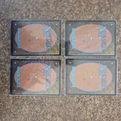 Windswept Heath x4 (Playset) - LP - Khans of Tarkir - MTG - Image 2