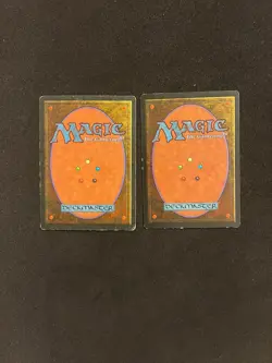 Snow-Covered Plains x2 [Ice Age] Magic MTG Cards HP - Image 2