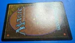 1 BANNED MTG Magic The Gathering Crusades | Revised Edition 3ED | 1994 | NM - Image 4