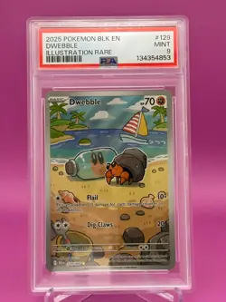 Dwebble IR 129/086 Sv: Black Bolt Pokemon 2025 Illustration Rare PSA 9 Mint - Image 2