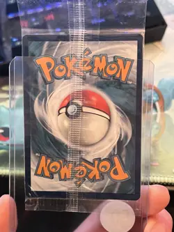 Charmander - SVP044 - Pokemon Scarlet & Violet Promo SEALED Ultra Rare Card NM - Image 2