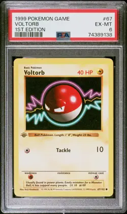 Voltorb 1999 Pokemon Game 1st Edition #67 67/102 PSA 6 NM Lightning FRESH SLAB! - Image 1