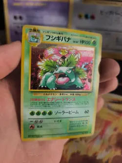 Pokemon Karte Card Bisaflor Venusaur CD Promo 97 Holo Wotc japanese Exc-NM Swirl - Image 4