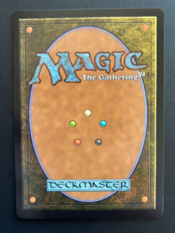 The Walls of Ba Sing Se Borderless Foil 329 MTG Avatar: The Last Airbender - Image 2