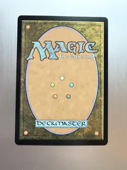 The Walls of Ba Sing Se - 329 - MTG Avatar: The Last Airbender - Borderless FOIL - Image 2