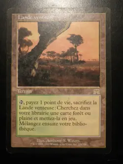 mtg magic windswept heath onslaught FRENCH vf fr lande venteuse carnage - Image 1