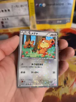 Pokemon Karte Card Holo Teddiursa Shiny Collection 2013 Special Pack japanese NM - Image 5