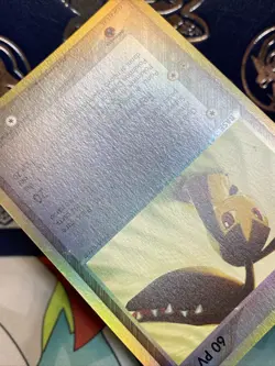 ** ITALIAN ** Ex Sandstorm Mawile 9/100 Holo Rare NM-Mint Pokemon - Image 3